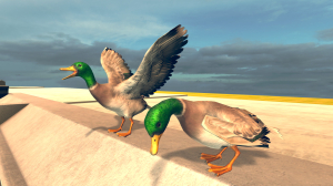 Bird Simulator 5