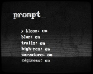 Prompt 8